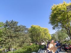 -绿堤公园