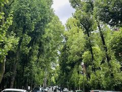 -青龙山国家森林公园