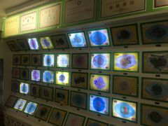 -红楼酒家(幸福家园精品街店)