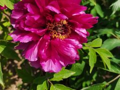 -北京西山国家森林公园