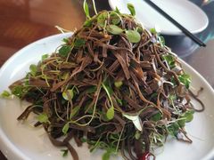 黑豆苗豆腐丝-恭敬李·烤鸭(天坛北门店)