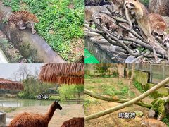 -宁波野生动物园