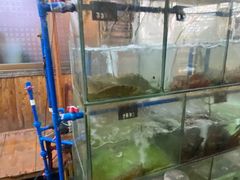 水产区-蓝湾碧波·老字号·疍家非遗海上餐厅