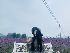 -北京东方普罗旺斯薰衣草庄园