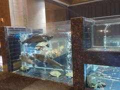水产区-许家菜(望江店)