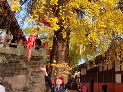 -金堂县云顶石城风景区