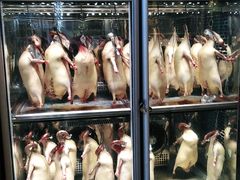 -新兴家喻酒家·羊城名宴(昌岗店)