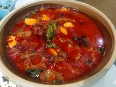-洞庭家宴·头牌甲鱼(广渠门店)