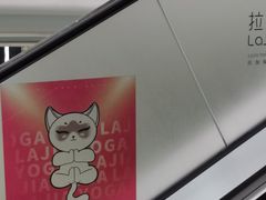 -棕榈MALL