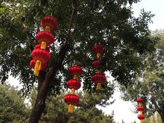 -丰台花园