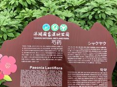 -洋湖国家湿地公园