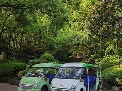 -杭州半山国家森林公园