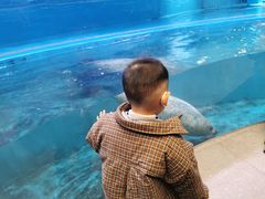 -青岛海底世界-水族馆