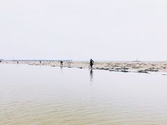 -北海金海湾红树林生态旅游区