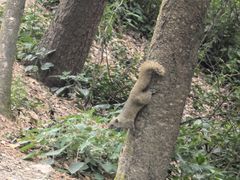 -苍山感通索道