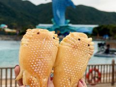 -长隆海洋王国-海洋大街餐厅