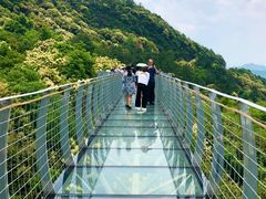 -大余丫山旅游度假区