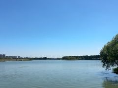 -贡湖湾湿地公园