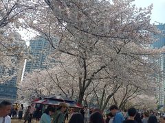 -西北湖绿化广场