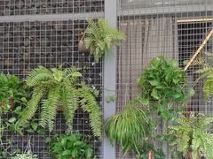 -肴约·花园式餐厅(湖里店)