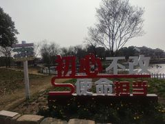 -鹅湖玫瑰文化园