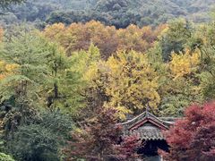 -青城山