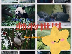 -广州长隆野生动物世界