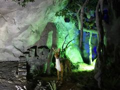 -遂昌金矿国家矿山公园