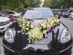 -蚂蚁婚车