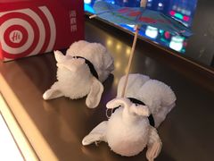 -海底捞火锅(北京路店)