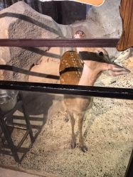 -酷嗒动物文化乐园(cutezoo西溪乐天城店)