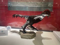 -国家自然博物馆