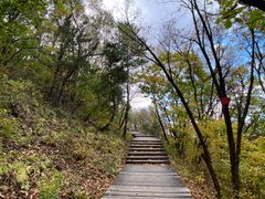 -帽儿山国家森林公园