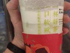 -奈雪的茶(石家庄万象城店)