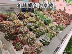 -KKV(深圳宏发大仟里店)