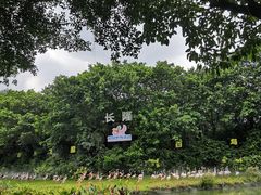 -广州长隆飞鸟乐园