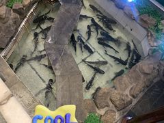 -春盛渔府(牛首山店)