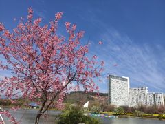 -月亮湾湿地公园