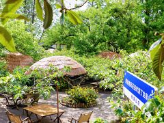-桃源山庄·水蜜桃采摘·柴火鸡·烧烤团建(龙泉山店)