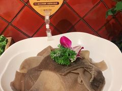-巴奴毛肚火锅(九洲店)