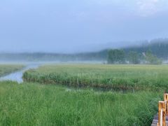 -塞罕坝国家级自然保护区