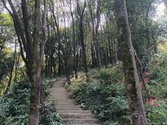 -广州市帽峰山景区