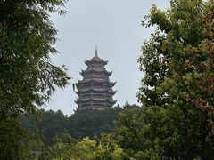 -铁山坪森林公园