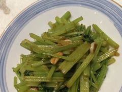 -食家鸽园