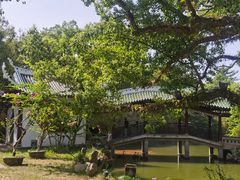 -江心屿景区