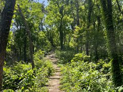 -素山寺森林公园