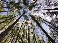 -洛阳白云山景区