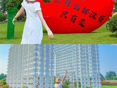 -荷兰花海