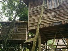 -天门沟九州驿站树上汤泉