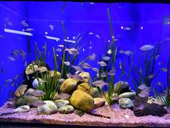 -上海海洋水族馆